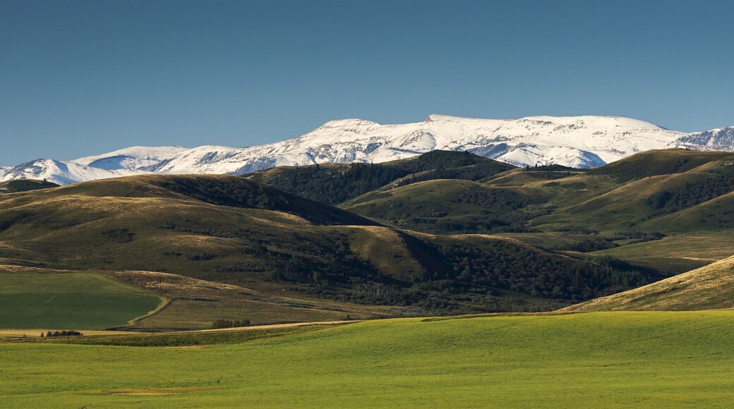 Green Pastures With Foothills And Snow Covered Mountains And Blue Sky In The Background; Alberta, Canada