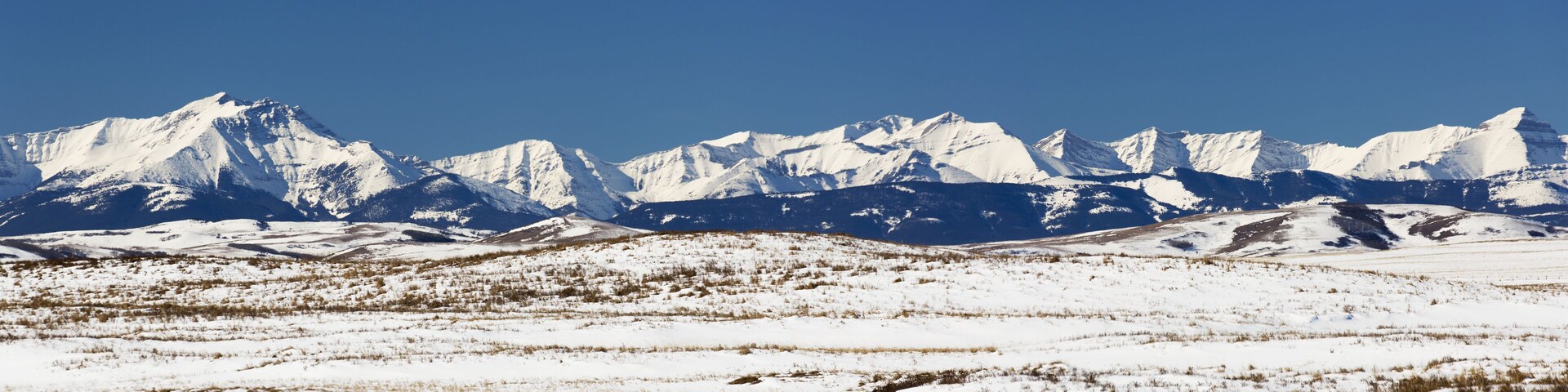 Panarama Of Snow Covered Rolling Hills With Snow Covered Mountains In The Background With Blue Sky; Longview, Alberta, Canada