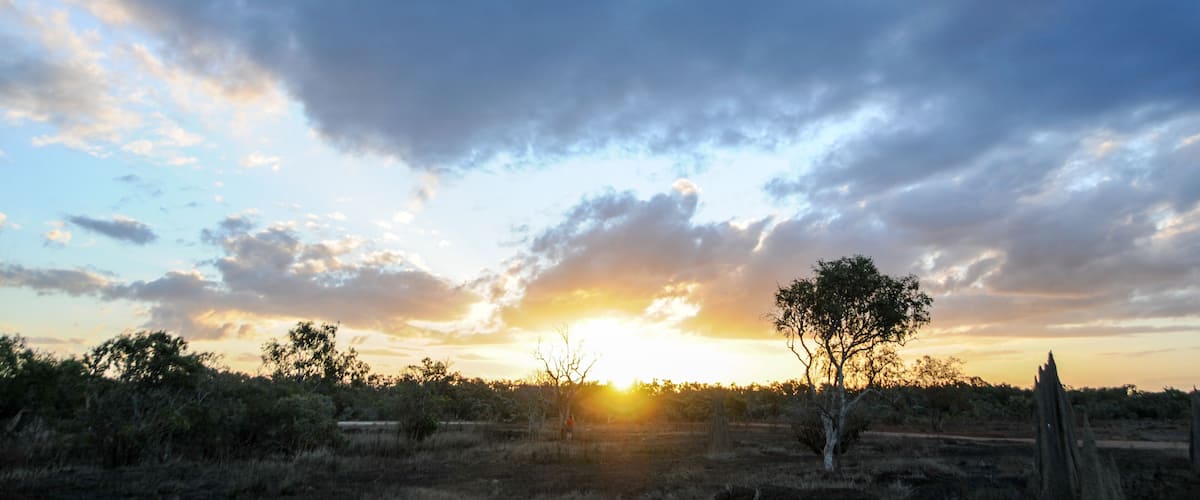 A sunset over a savanna landscape with scattered trees and a clear sky.