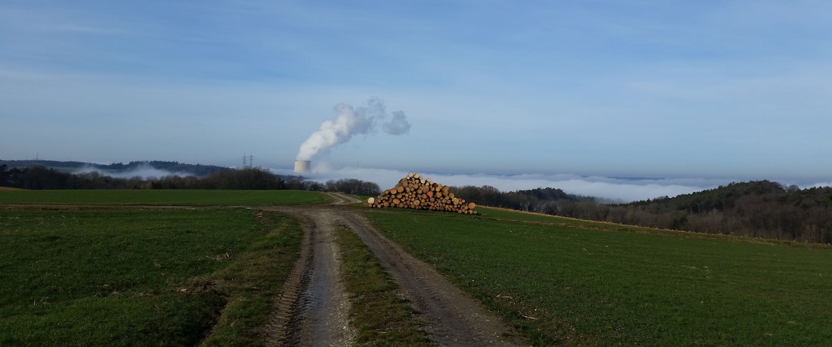 A rural landscape with a dirt road, a stack of logs, and a distant smokestack emitting smoke.
