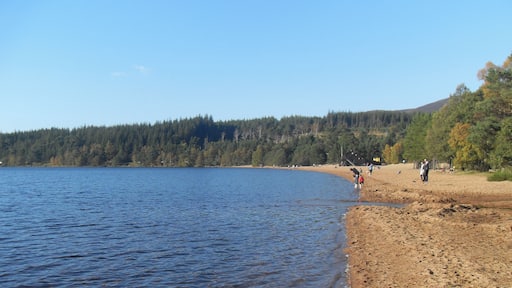Beach at Loch Morlich