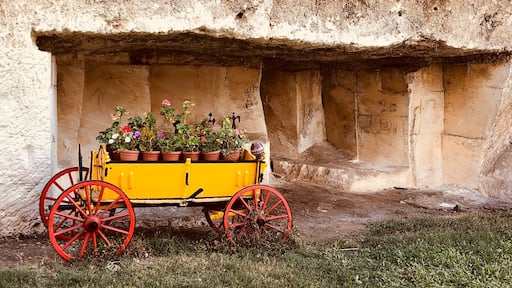 Flower cart