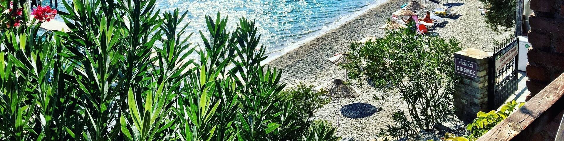 Beautiful sunshines in october