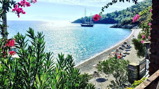 Beautiful sunshines in october