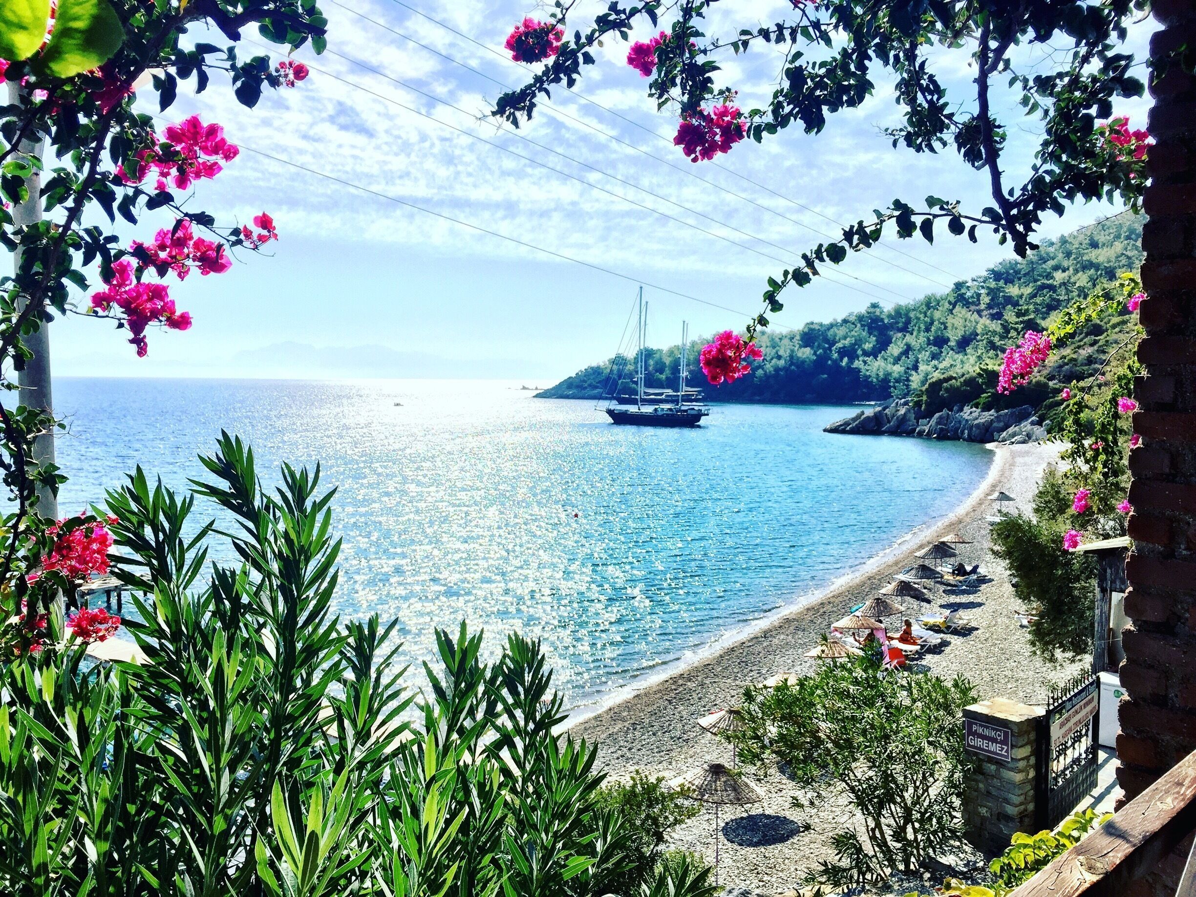 A coastal landscape with a beach, boats, and lush greenery.