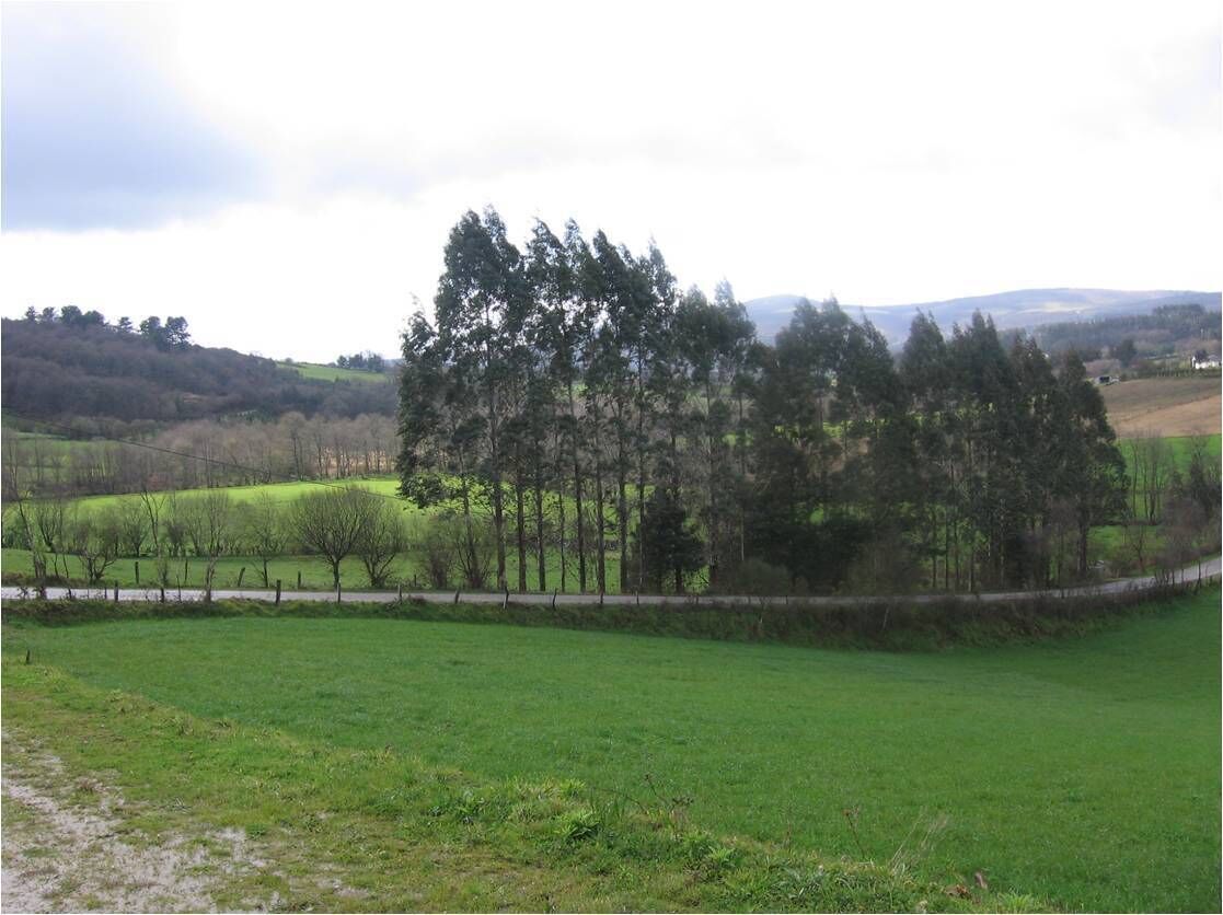 Paso de la traza de la Autovía junto al cementerio de Fontepresa.