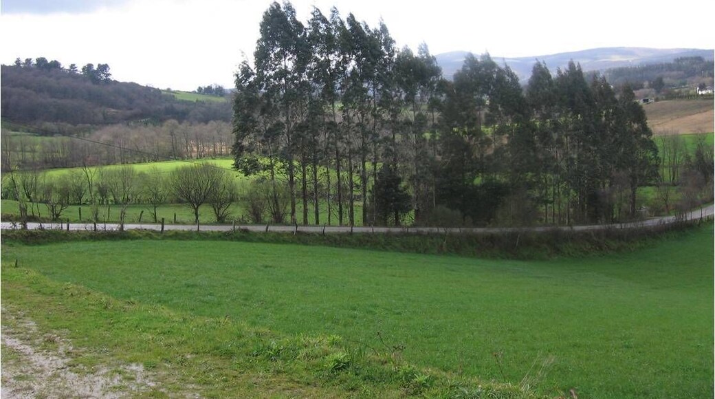 Paso de la traza de la AutovĂa junto al cementerio de Fontepresa.