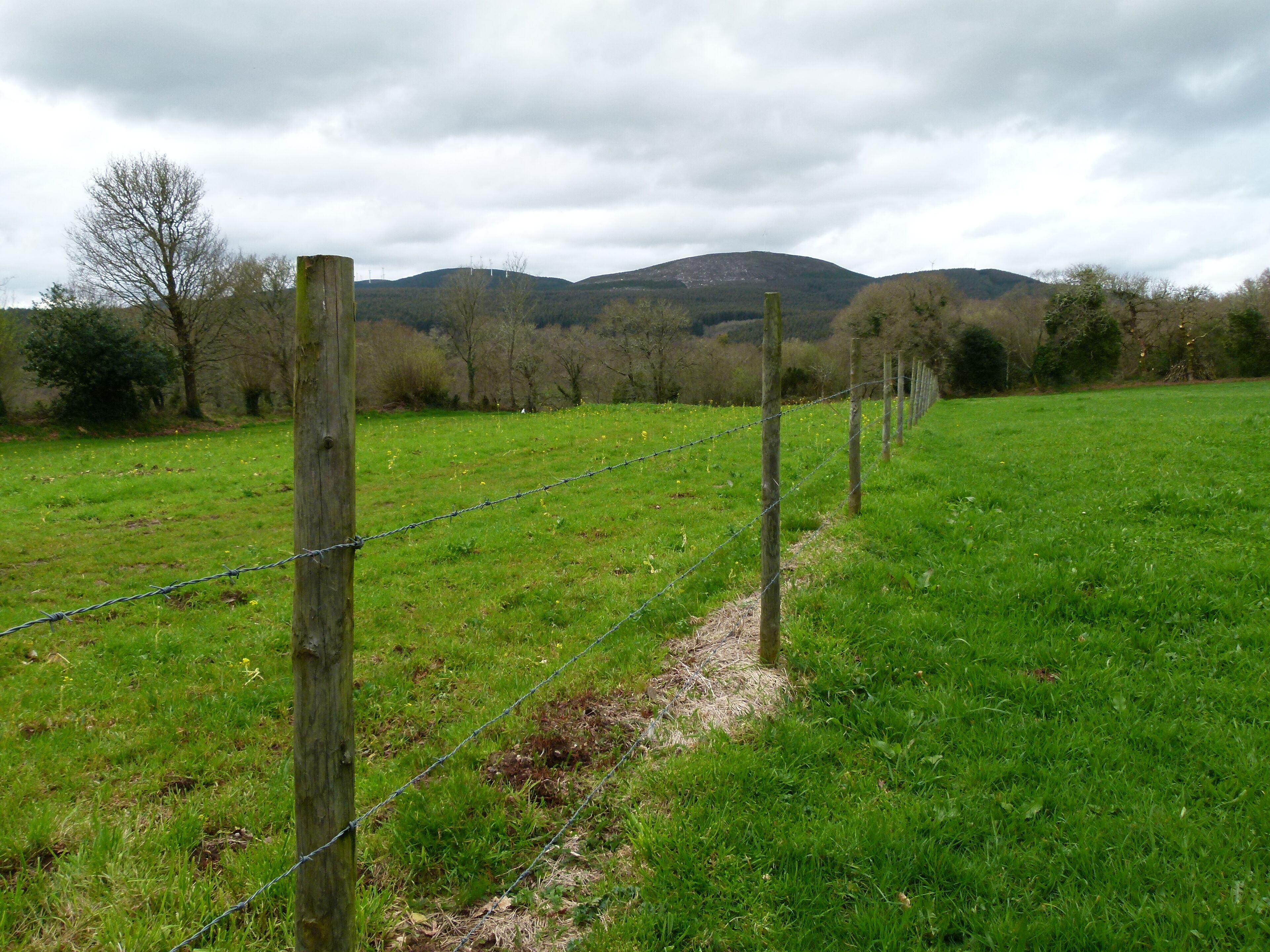 Celme Castromaior Abadín