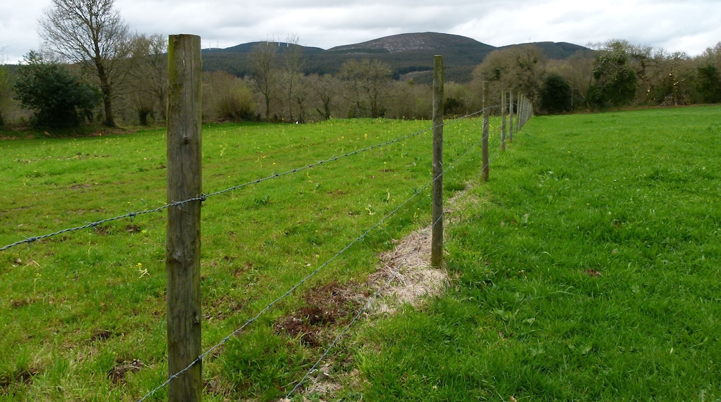 Celme Castromaior Abadín