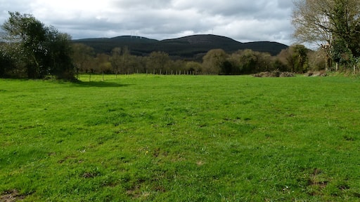 Celme Castromaior Abadín