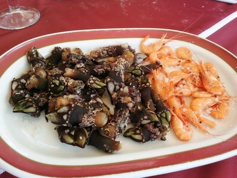 Goose Barnacles anyone? Of maybe some  shrimp - fresh catch of the day :) www.thetinytaster.com