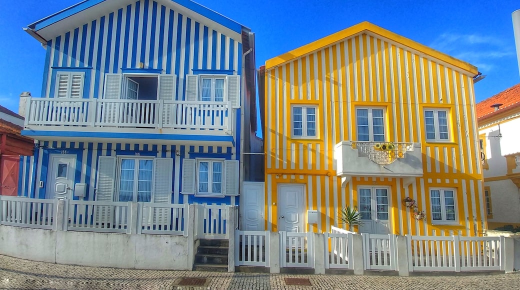 Costa Nova
#beach #portugal #costanova #colorful #architecture
