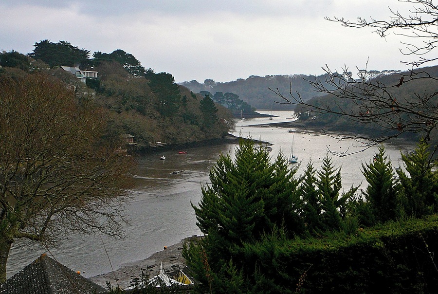 a creek of the Helford River
