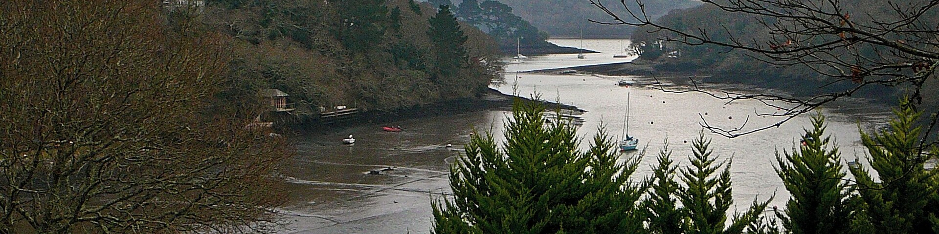 a creek of the Helford River