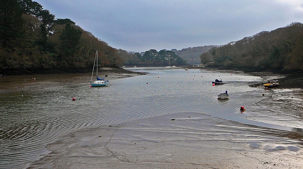 a creek of the Helford River. New Year's Day 2009.