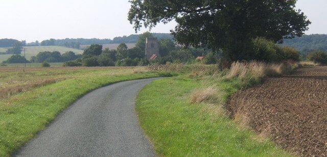 A rural road curving through fields with a large tree on the right and a distant building.