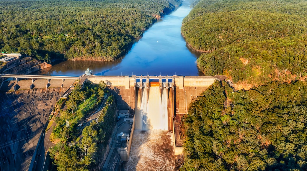 Uma barragem com um rio serpenteando por um vale arborizado.