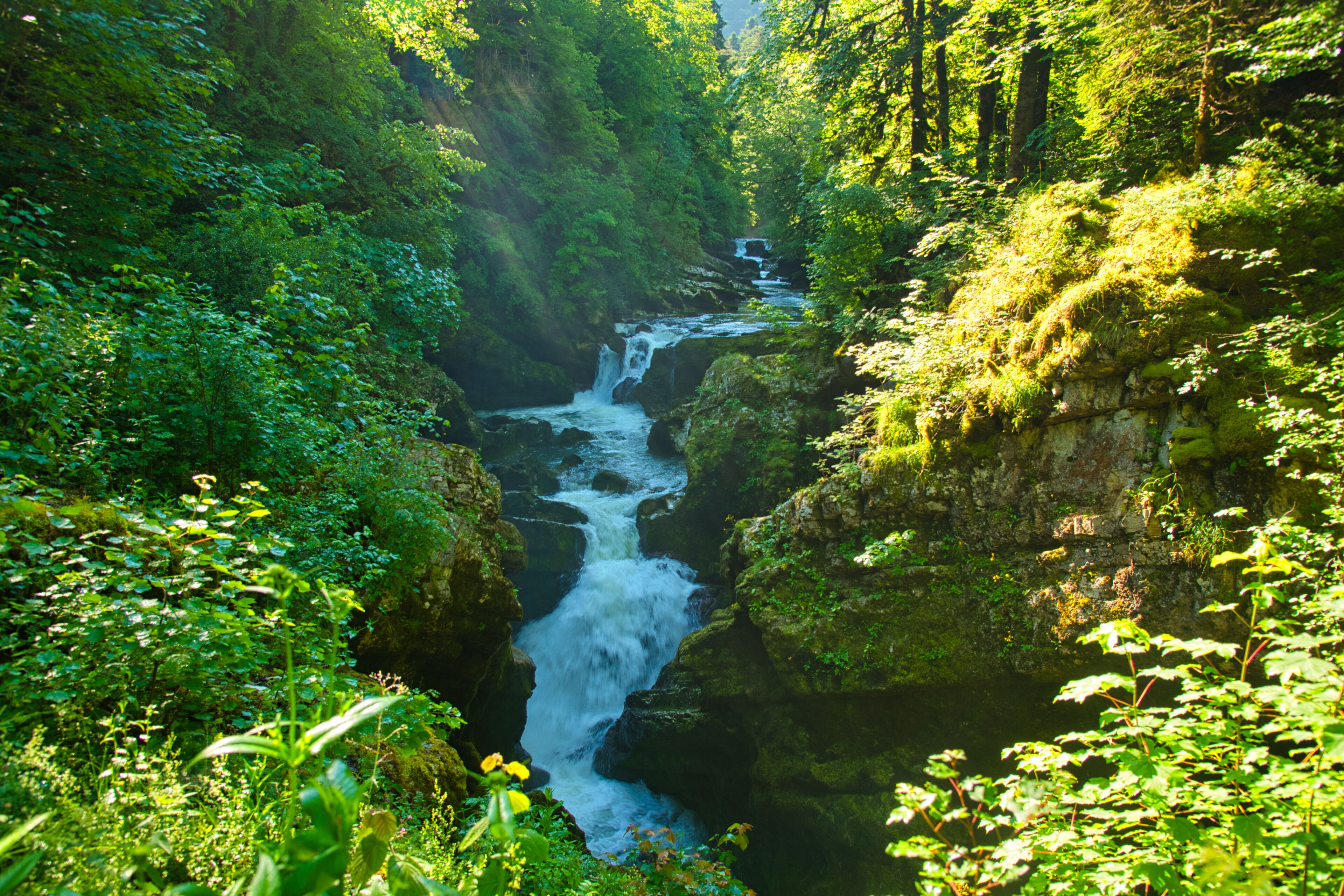 Pertes de l'Ain im französischen Jura