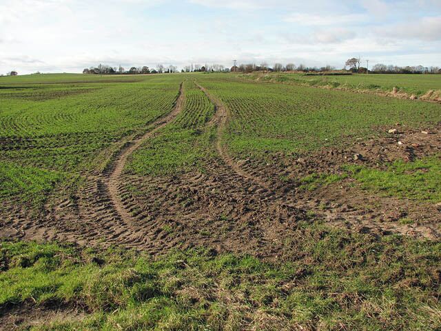 Field beside Station Road. This cultivated field adjoins Station Road > 1047435 in the southwest.