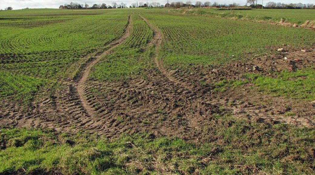 Field beside Station Road. This cultivated field adjoins Station Road > 1047435 in the southwest.