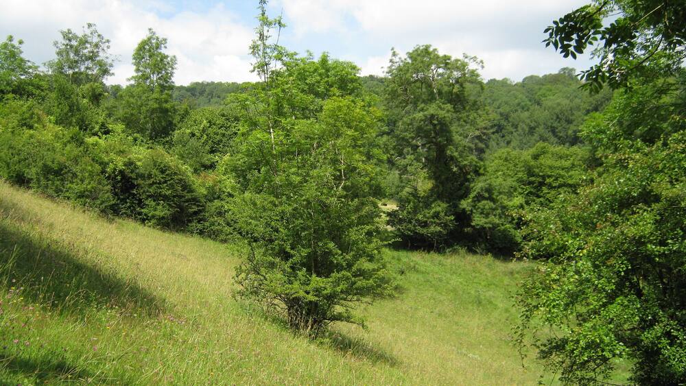 Tranquillity, near Southstoke.
