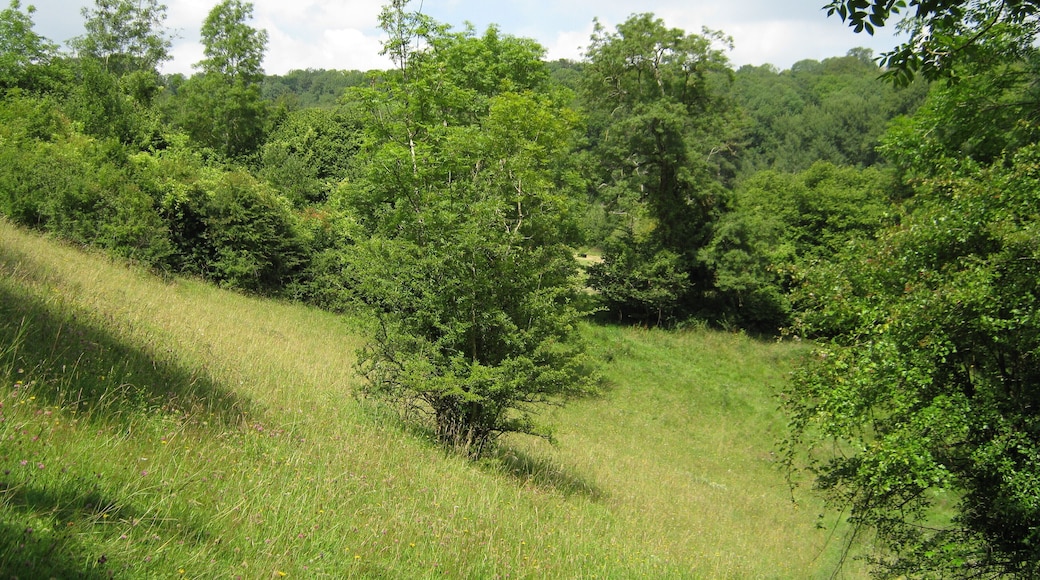Tranquillity, near Southstoke.