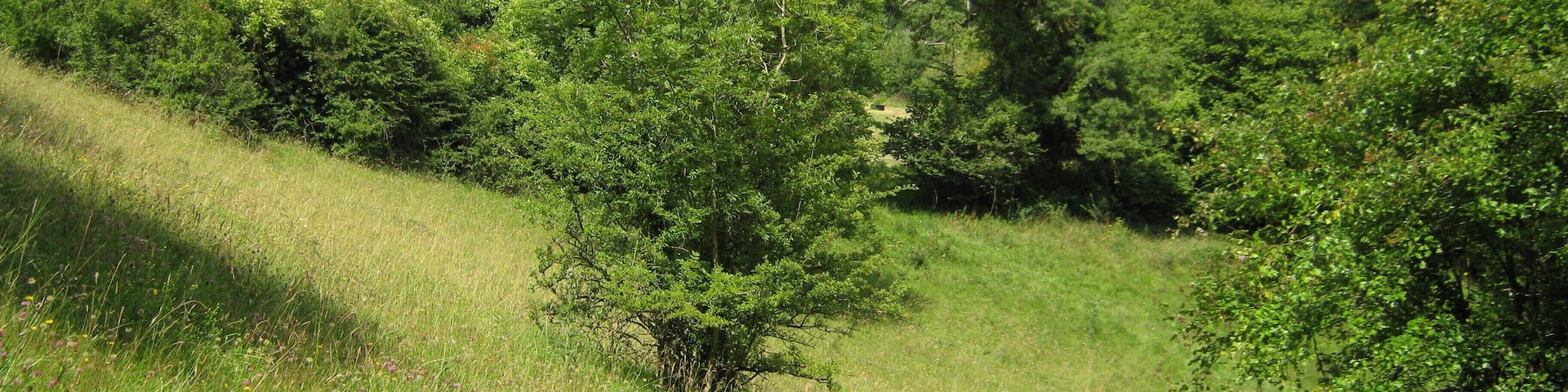 Tranquillity, near Southstoke.