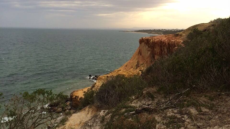 #RedBluffCliffs from the lookout at the top of Half Moon Bay, Blackrock near #Melbourne, Australia.
Melbourne Bayside Coastal Park, #NationalPark formed to preserve precious coastal flora and fauna, as well as geography in my home city.