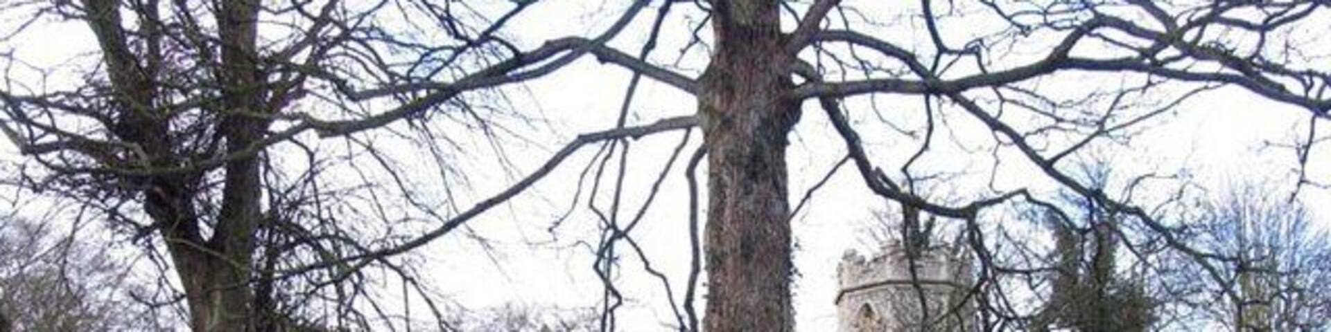 St Peter, Clippesby, Norfolk Fairly isolated round towered church set in farmlands