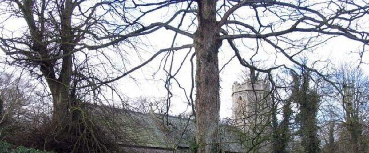 A cemetery with headstones, a stone wall, and a large tree.