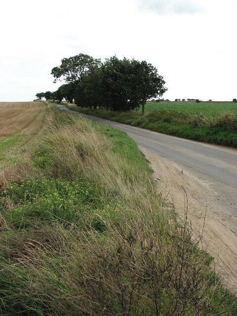 View east along Thurne Road Thurne Road is a narrow single-track road with many passing places; it connects the village of Thurne with the B1152 further to the east.