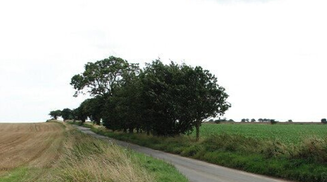 View east along Thurne Road Thurne Road is a narrow single-track road with many passing places; it connects the village of Thurne with the B1152 further to the east.