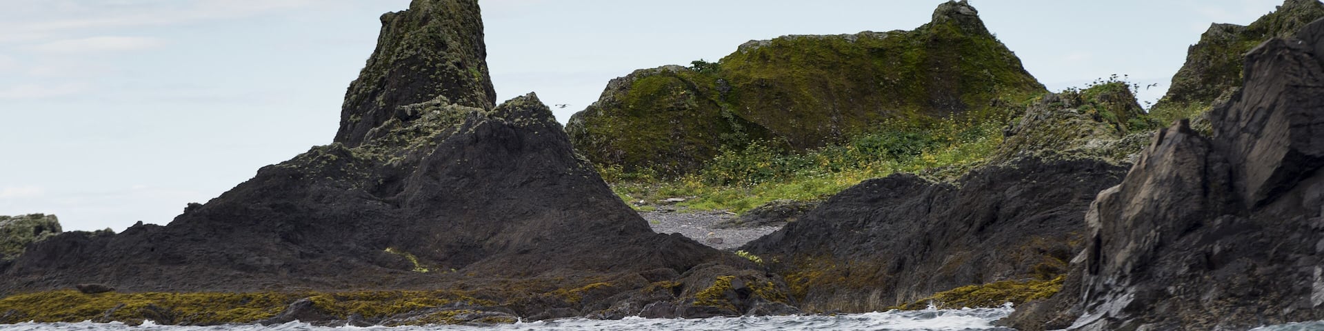 Island in the Pacific Ocean, Skeena-Queen Charlotte Regional District, Haida Gwaii, Graham Island, British Columbia, Canada; Shutterstock ID 275939996; Purchase Order: -