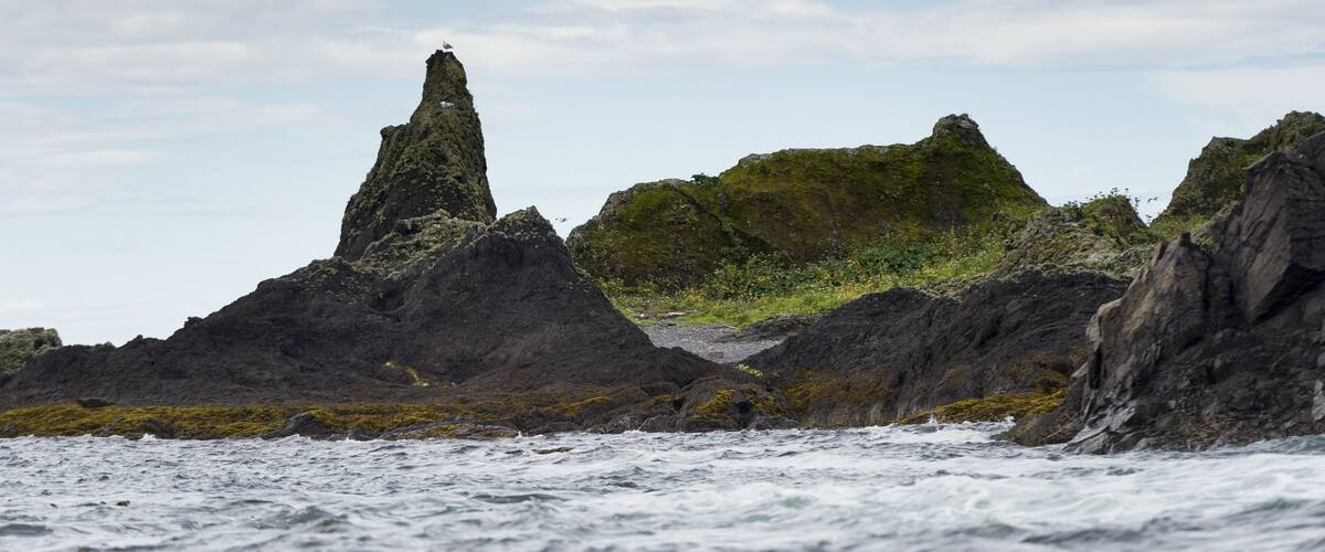 A rugged coastline with prominent rock formations and a small bird perched on a peak.
