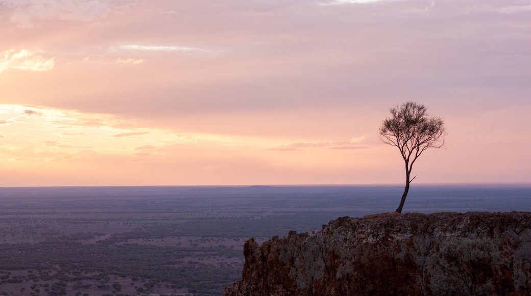 Mt Slocombe lookout offers vast views across outback Queensland and is a great spot to catch sunrise or sunset. It's just a 5min drive from the town of Yaraka where you can rest for the night at the homely pub (I can personally recommend it) before venturing further west towards Birdsville.
#queensland #australia
#nationalpark
#goldenhour