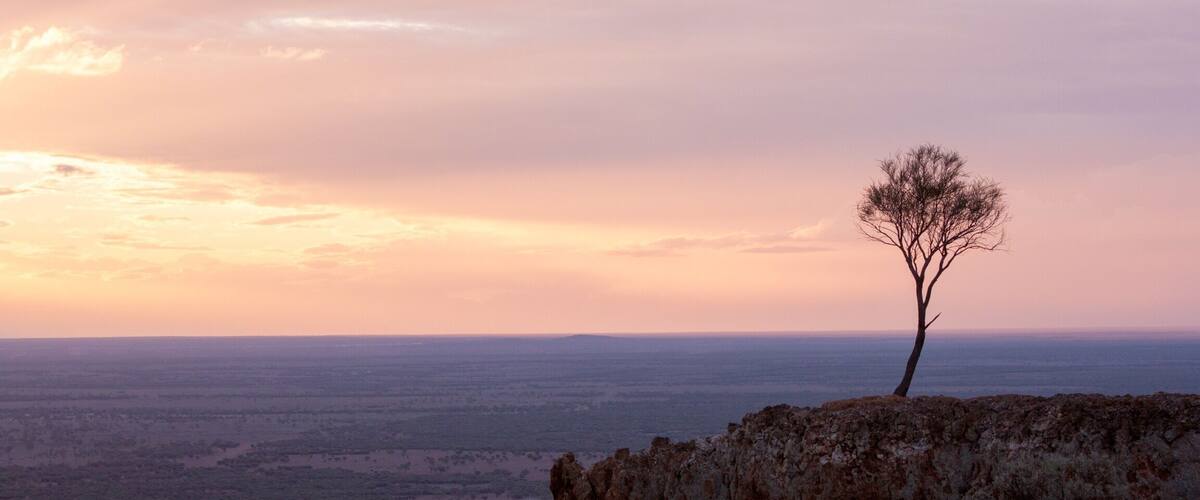 Mt Slocombe lookout offers vast views across outback Queensland and is a great spot to catch sunrise or sunset. It's just a 5min drive from the town of Yaraka where you can rest for the night at the homely pub (I can personally recommend it) before venturing further west towards Birdsville.
#queensland #australia
#nationalpark
#goldenhour