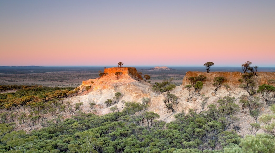 The view from the lookout on Mt Slocombe, located near Yaraka, Queensland. The views overlook the Yang Yang Ranges and nearby farming plains. This shot was taken at dawn just as the sun was about to break above the horizon on the other side of the lookout. I was surprised how still it was atop the mountain (or technically a jump up). Make sure you stop by this lookout and enjoy a refreshing drink with the friendly locals at the Yaraka Hoel before traveling further west into Outback Queensland.
#queensland #australia