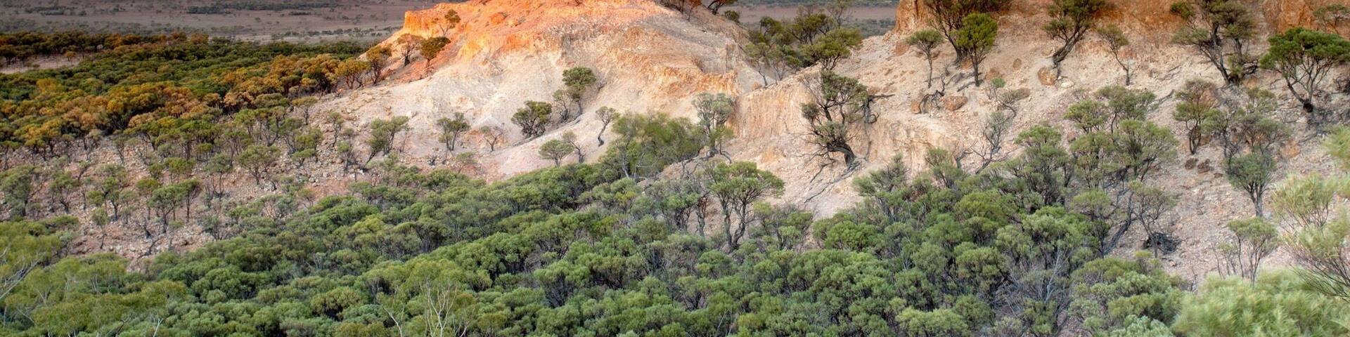 The view from the lookout on Mt Slocombe, located near Yaraka, Queensland. The views overlook the Yang Yang Ranges and nearby farming plains. This shot was taken at dawn just as the sun was about to break above the horizon on the other side of the lookout. I was surprised how still it was atop the mountain (or technically a jump up). Make sure you stop by this lookout and enjoy a refreshing drink with the friendly locals at the Yaraka Hoel before traveling further west into Outback Queensland.
#queensland #australia