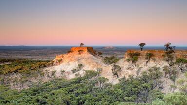 The view from the lookout on Mt Slocombe, located near Yaraka, Queensland. The views overlook the Yang Yang Ranges and nearby farming plains. This shot was taken at dawn just as the sun was about to break above the horizon on the other side of the lookout. I was surprised how still it was atop the mountain (or technically a jump up). Make sure you stop by this lookout and enjoy a refreshing drink with the friendly locals at the Yaraka Hoel before traveling further west into Outback Queensland.
#queensland #australia