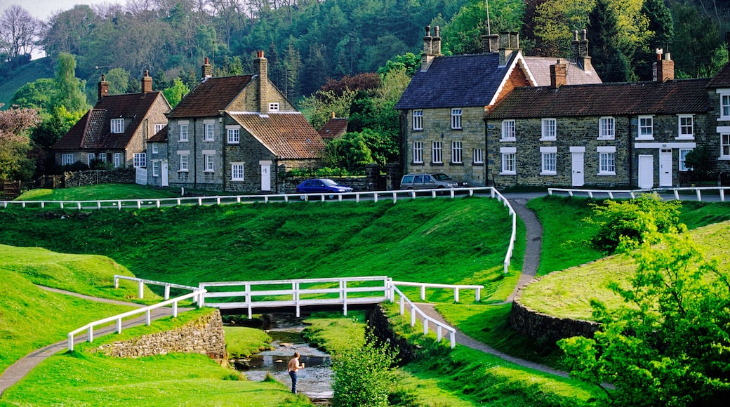 A lush green landscape with a white fence, stone buildings, and a river.