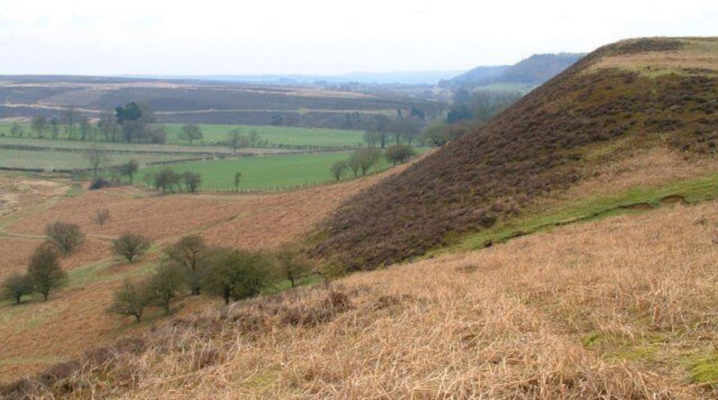 Tabular Hills, North Yorkshire Moors. This photograph was taken from near The Nab, the northern edge of one of the tabular hills that are a feature of this part of the North Yorkshire Moors. Similar hills are shown on the right of the photograph. These hills form the southern reaches of this area of the North Yorkshire Moors and are a boundary between the moors proper and the Vale of Pickering. The public footpath through the bracken, left middle distance, enters the 'green' field http://www.multimap.com/map/browse.cgi?lat=54.3055&lon=-0.9263&scale=25000&icon=x and follows the field boundary toward Hutton-le-Hole.