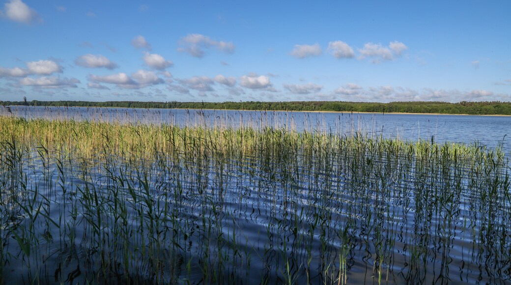 Landschaft am Useriner See, Müritz-Nationalpark