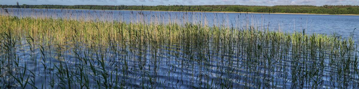 Landschaft am Useriner See, Müritz-Nationalpark