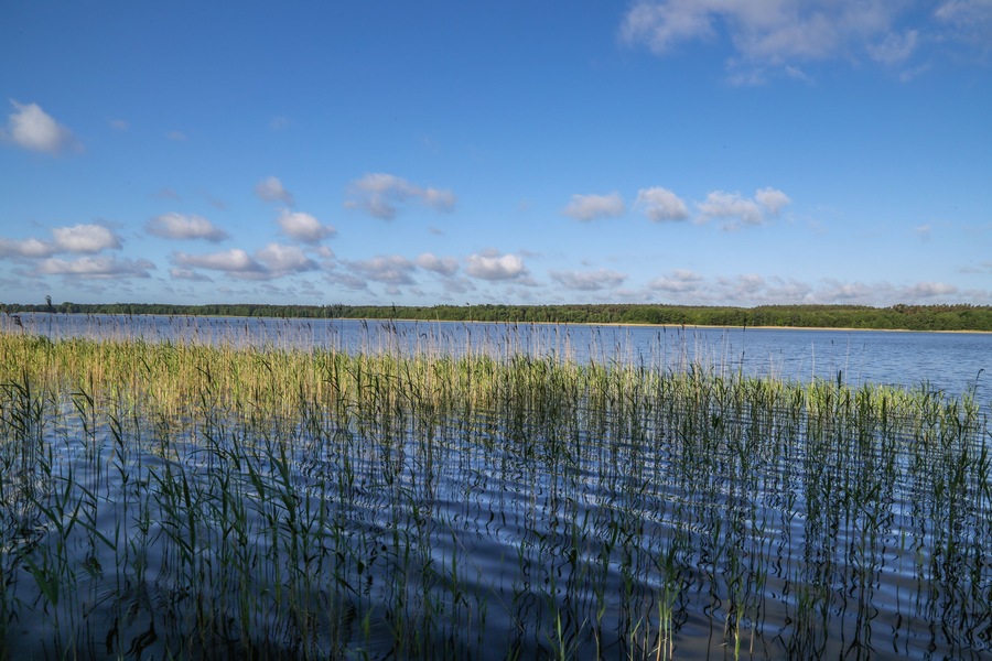 Landschaft am Useriner See, Müritz-Nationalpark