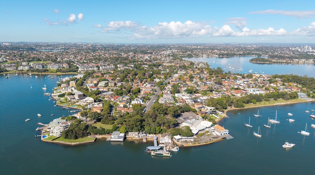 An aerial view of a coastal town with a marina, residential areas, and a large body of water.