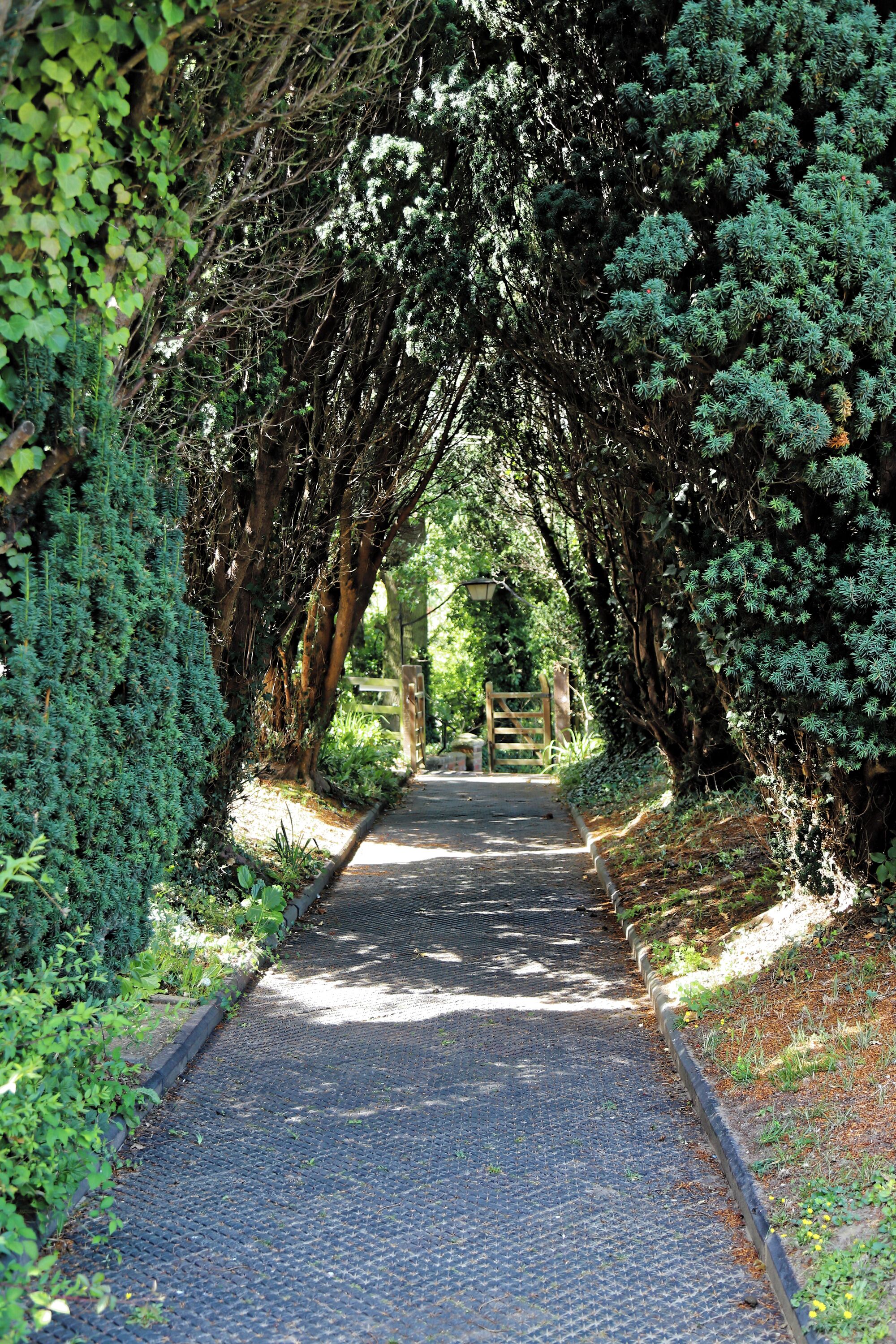 A paved pathway flanked by dense foliage and trees, leading to a wooden gate.