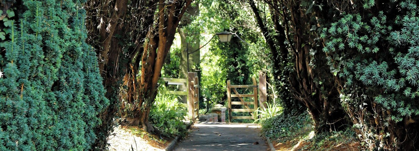 A paved pathway flanked by dense foliage and trees, leading to a wooden gate.