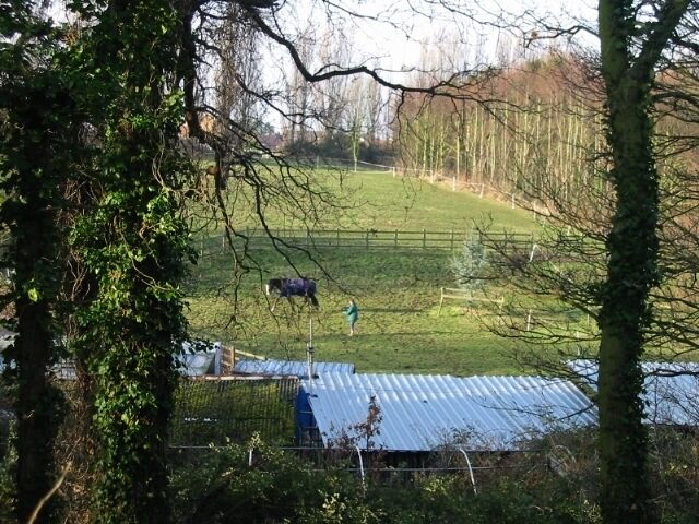 Looking W towards Ash from Saunders Lane