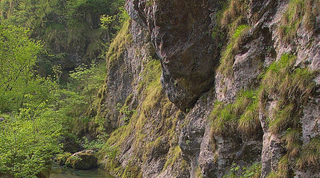 Tratto tranquillo del torrente Enna
