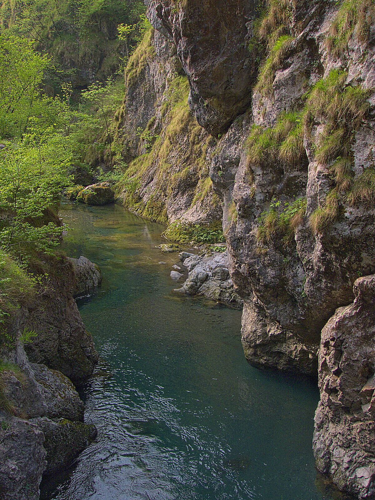 A narrow canyon with clear water, rocky cliffs, and green vegetation.